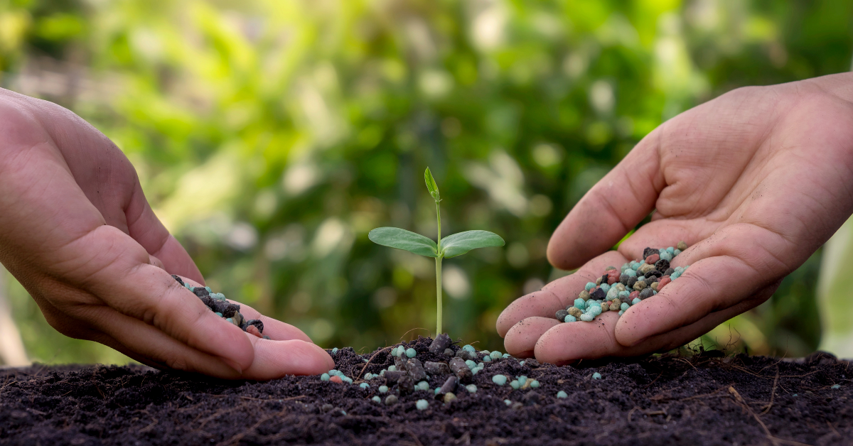 Fertilize