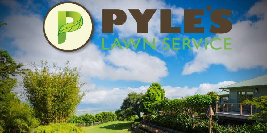Lawn Care Best Practices