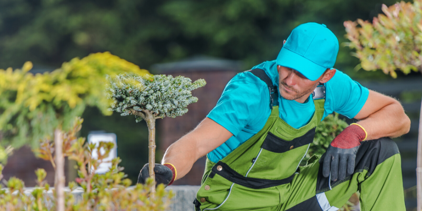 Your Home Needs a Landscape Maintenance Plan