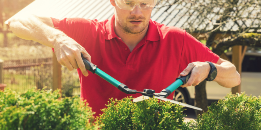 Ready for Hedge Trimming?