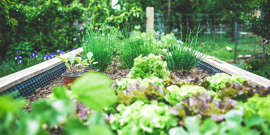 Tips-for-the-Ultimate-Veggie-Garden-In-Spring--1