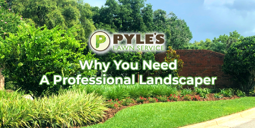 Landscaping Marvels