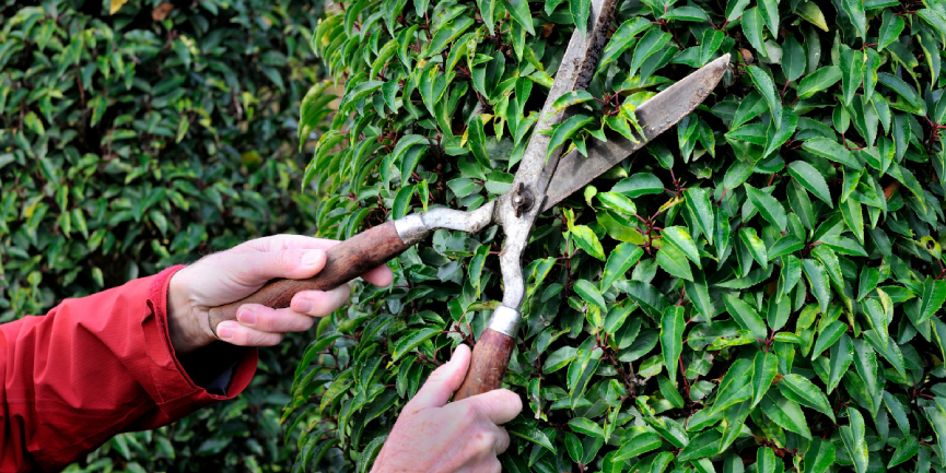 Winter Yard prep? Pyle’s Got You Covered!