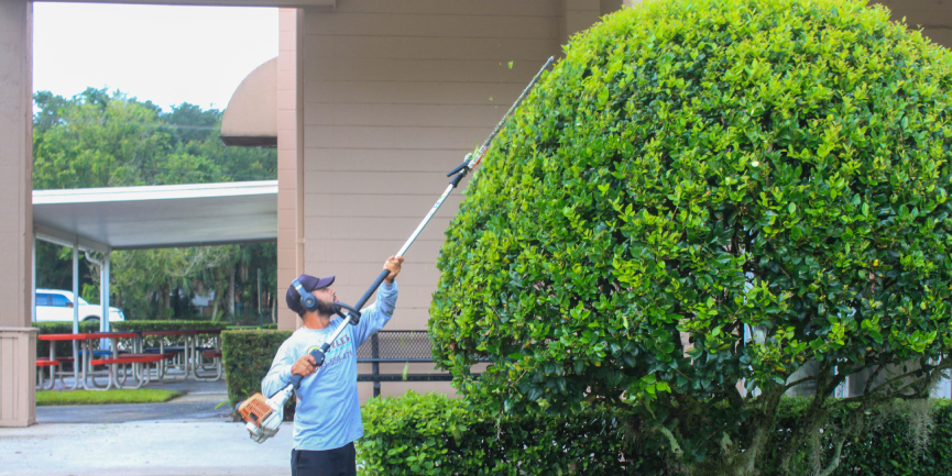 The Benefits of Hedge Trimming
