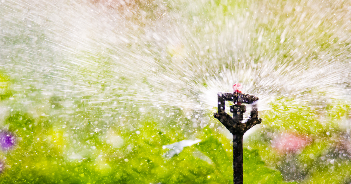 lakeland Irrigation installation