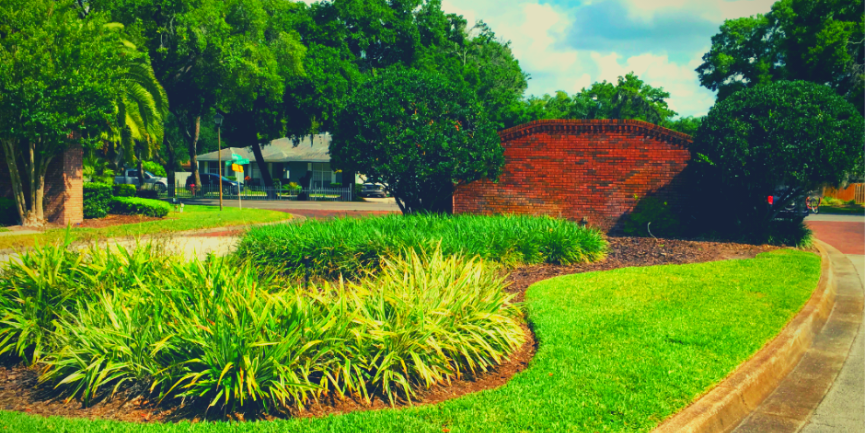 Leave the Lawn and Landscaping to the Experts