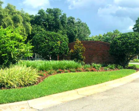 Custom commercial lANDSCAPING LAKELAND