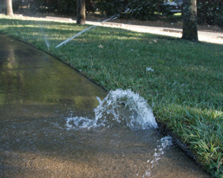 Lakeland irrigation