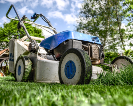 Lakeland lawn trimming