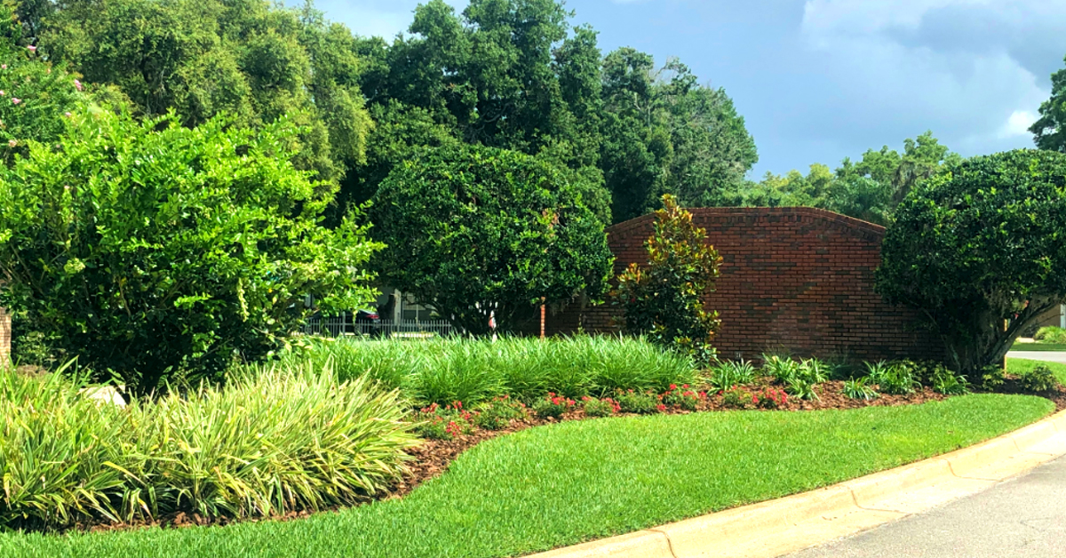 Commercial Landscape Maintenance in Lakeland