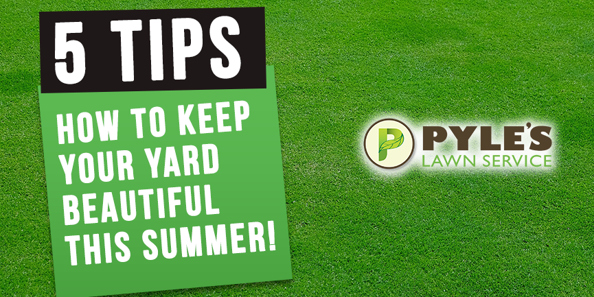 How to Keep Your Yard Beautiful This Summer! Top 5 Tips You Donâ€™t Wanna Miss!