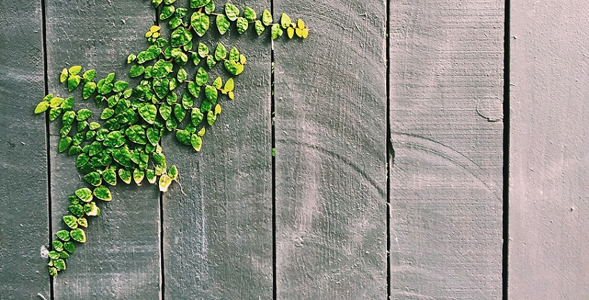 Create Privacy with Landscape Installation