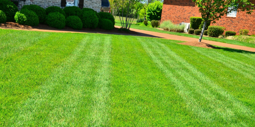 Spring Lawn Maintenance Made Simple