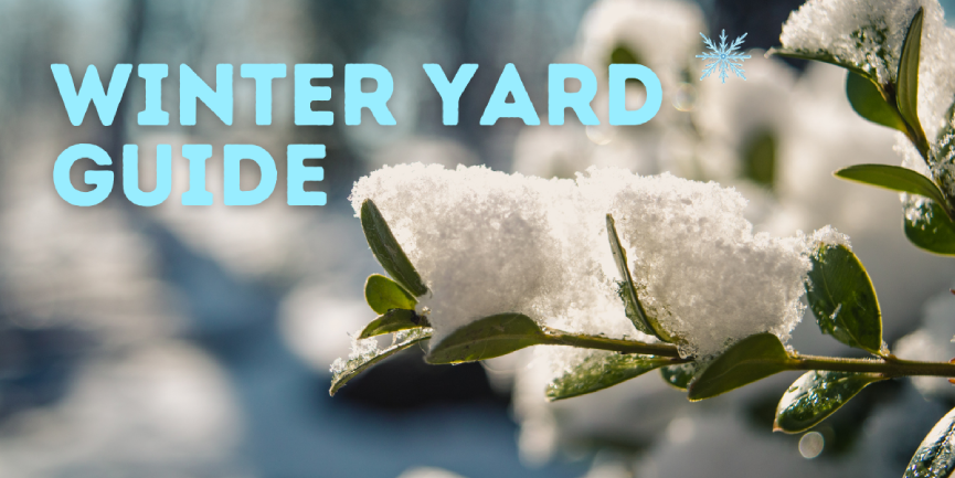 Winter-Yard-Guide