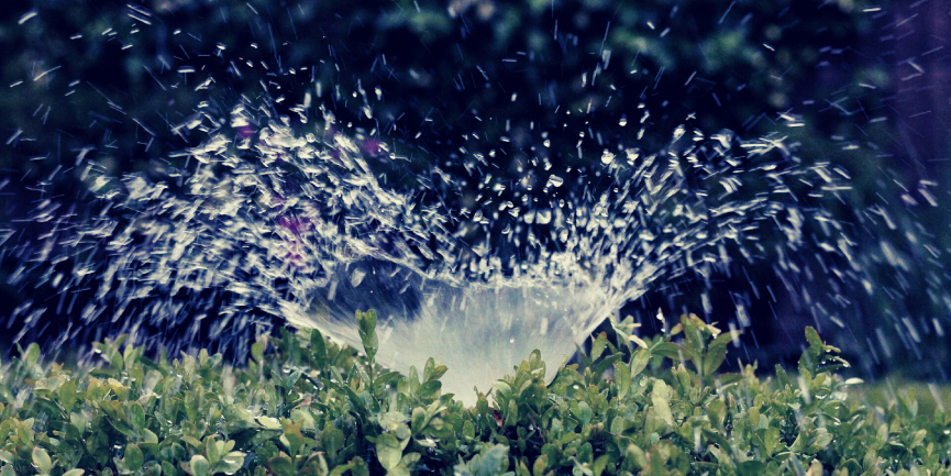 3 Telltale Signs Your Irrigation Service Needs Repair