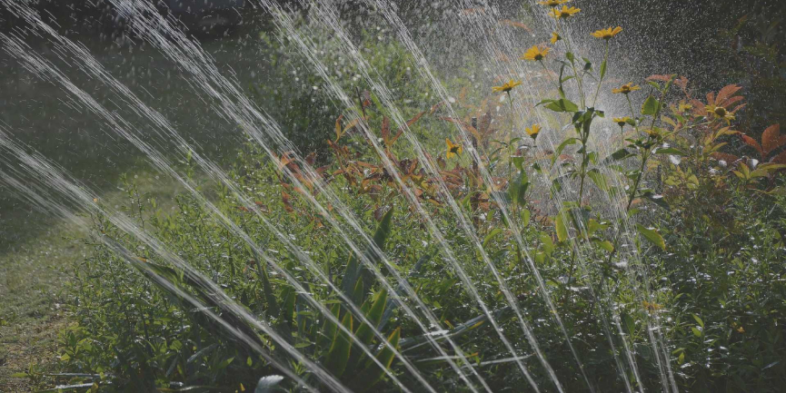 Your Irrigation System and the Dry Season