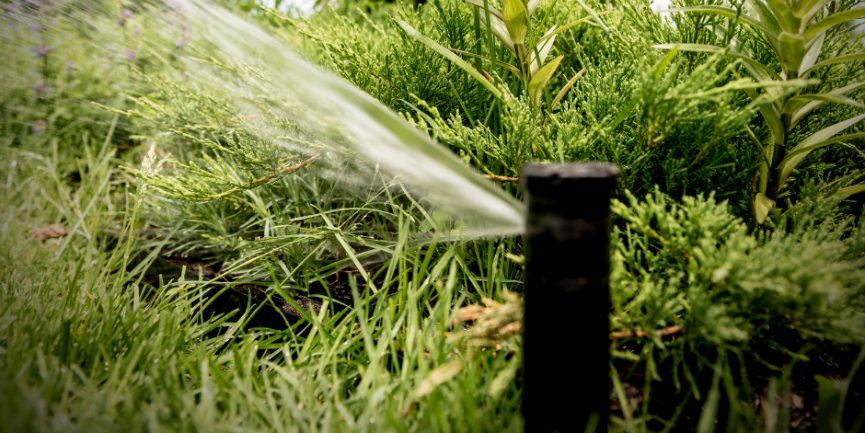 Irrigation Maintenance