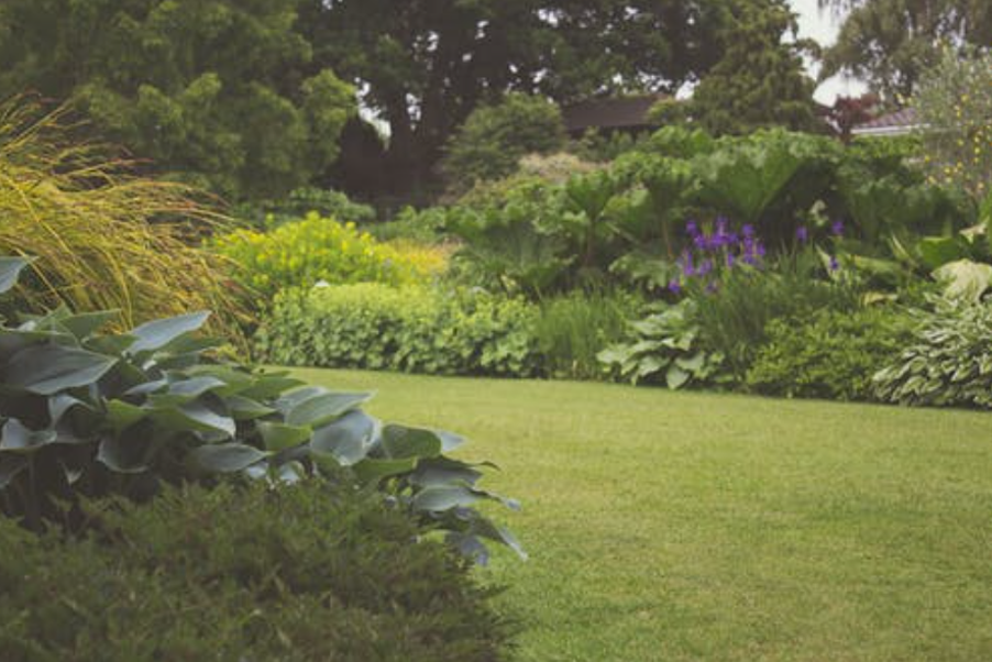 Florida LANDscaping