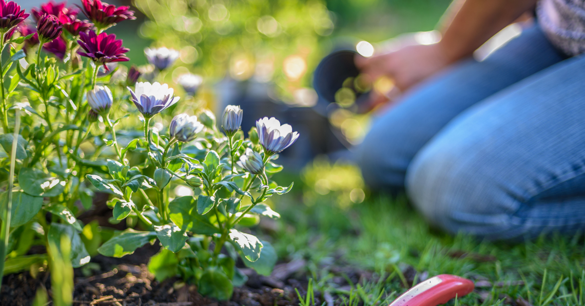 How to Prepare Your Yard for Spring in 5 Simple Steps!